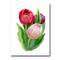Designart - Beautiful Tulip Flowers - Traditional Canvas Wall Art Print